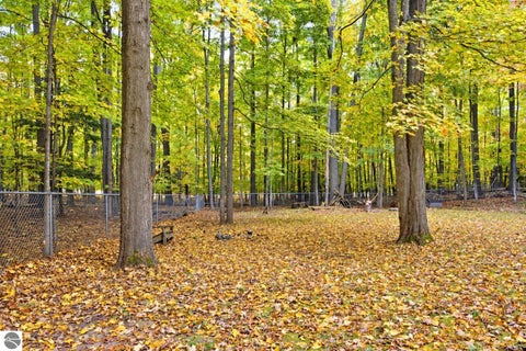 Tiny photo for 4873 S Red Oaks Drive, Traverse City, MI 49685 (MLS # 1951748)
