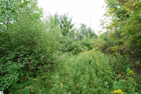 Tiny photo for 4370 Lake Drive, Prescott, MI 48756 (MLS # 1950360)