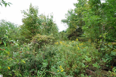 Tiny photo for 4370 Lake Drive, Prescott, MI 48756 (MLS # 1950360)