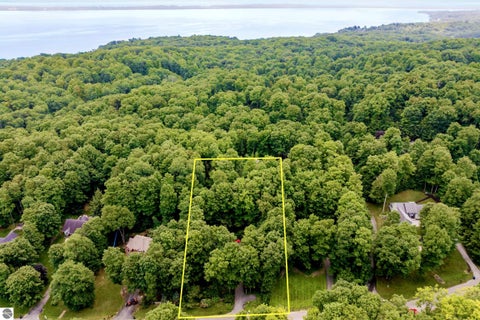 Tiny photo for 8335 Forest Drive, Traverse City, MI 49686 (MLS # 1949538)