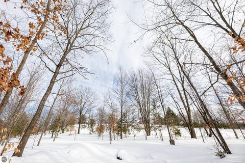 Tiny photo for 10746 Deal Road, Williamsburg, MI 49690 (MLS # 1943023)