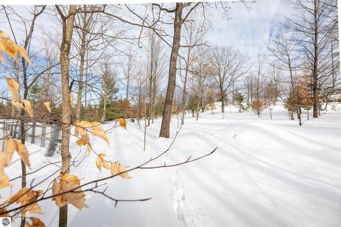 Tiny photo for 10746 Deal Road, Williamsburg, MI 49690 (MLS # 1943023)