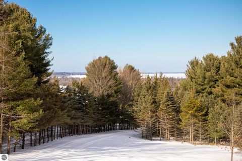 Tiny photo for 10746 Deal Road, Williamsburg, MI 49690 (MLS # 1943023)