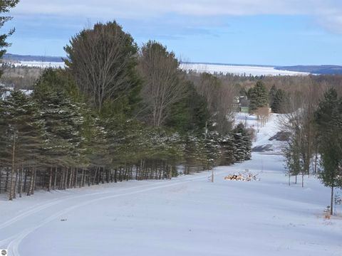 Tiny photo for 10746 Deal Road, Williamsburg, MI 49690 (MLS # 1943023)