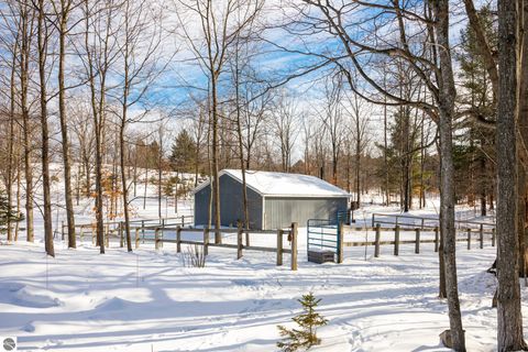 Tiny photo for 10746 Deal Road, Williamsburg, MI 49690 (MLS # 1943023)