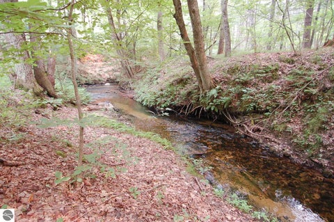 Tiny photo for 930 Seaton Creek Road, Mesick, MI 49668 (MLS # 1948131)
