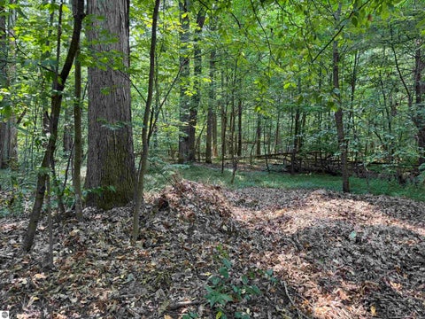 Tiny photo for 1386 S South Long Lake Road, Interlochen, MI 49643 (MLS # 1949159)