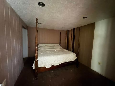 Tiny photo for 213 N Pine Street, Lake City, MI 49651 (MLS # 1941907)