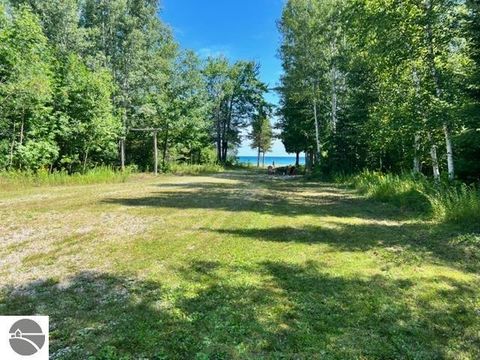 Tiny photo for 22542 N US-23, Ocqueoc, MI 49759 (MLS # 1943718)