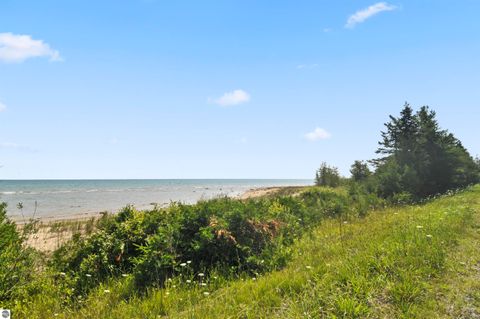 Tiny photo for 22542 N US-23, Ocqueoc, MI 49759 (MLS # 1943718)