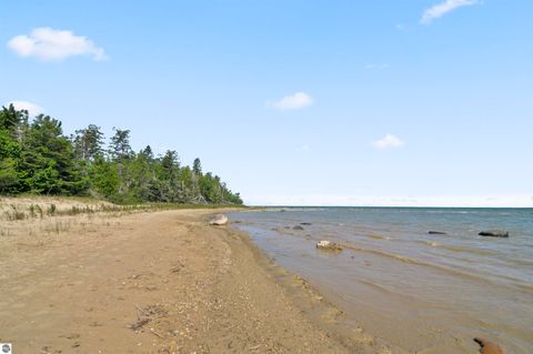 Tiny photo for 22542 N US-23, Ocqueoc, MI 49759 (MLS # 1943718)