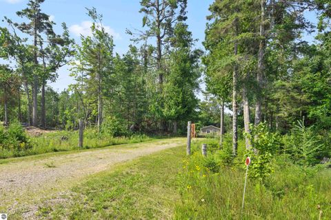 Tiny photo for 22542 N US-23, Ocqueoc, MI 49759 (MLS # 1943718)