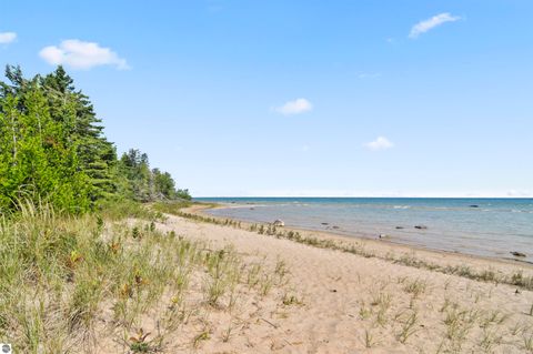 Tiny photo for 22542 N US-23, Ocqueoc, MI 49759 (MLS # 1943718)