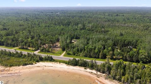 Tiny photo for 22542 N US-23, Ocqueoc, MI 49759 (MLS # 1943718)