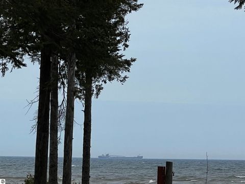 Tiny photo for 22542 N US-23, Ocqueoc, MI 49759 (MLS # 1943718)