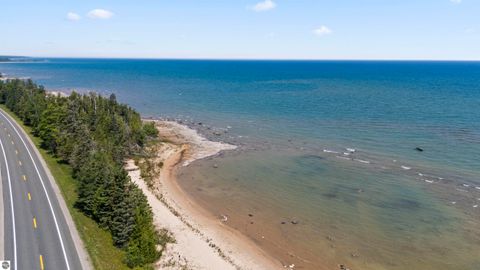 Tiny photo for 22542 N US-23, Ocqueoc, MI 49759 (MLS # 1943718)