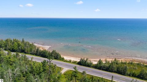 Tiny photo for 22542 N US-23, Ocqueoc, MI 49759 (MLS # 1943718)