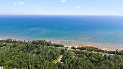 Tiny photo for 22542 N US-23, Ocqueoc, MI 49759 (MLS # 1943718)