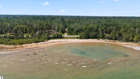 Tiny photo for 22542 N US-23, Ocqueoc, MI 49759 (MLS # 1943718)