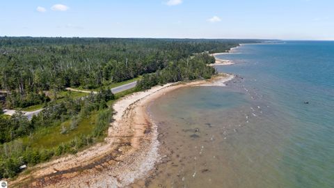 Tiny photo for 22542 N US-23, Ocqueoc, MI 49759 (MLS # 1943718)