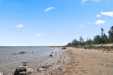 Tiny photo for 22542 N US-23, Ocqueoc, MI 49759 (MLS # 1943718)