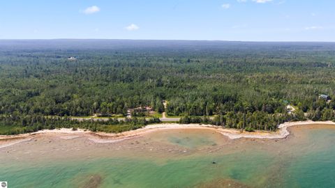 Tiny photo for 22542 N US-23, Ocqueoc, MI 49759 (MLS # 1943718)