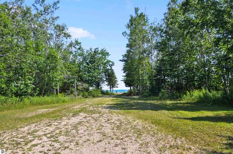 Tiny photo for 22542 N US-23, Ocqueoc, MI 49759 (MLS # 1943718)
