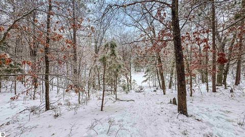 Tiny photo for 1612 S 47 3/4 Road, Cadillac, MI 49601 (MLS # 1941370)