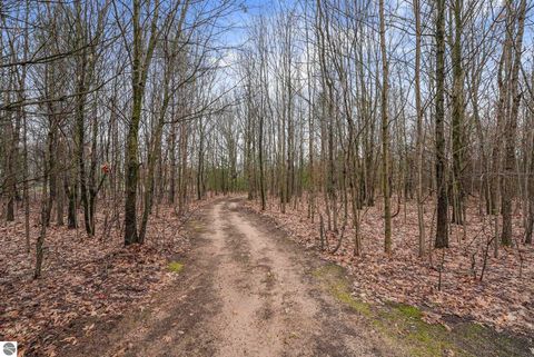 Tiny photo for 11337 Riley Road, Interlochen, MI 49643 (MLS # 1944139)