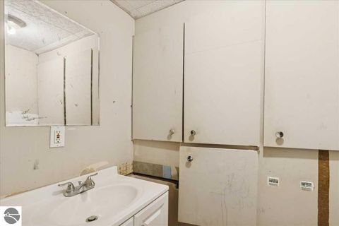 Tiny photo for 337 E Cottage, Shepherd, MI 48883 (MLS # 1941608)