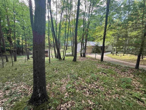 Tiny photo for 189 Forest Trail, Leroy, MI 49655 (MLS # 1946910)