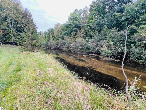 Tiny photo for 8370 W Blue Road, Lake City, MI 49651 (MLS # 1951004)
