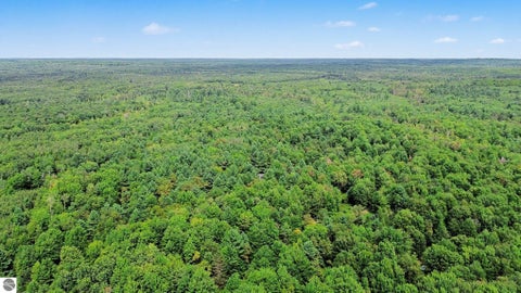 Tiny photo for 8567 Franco Drive SE, Kalkaska, MI 49646 (MLS # 1949430)
