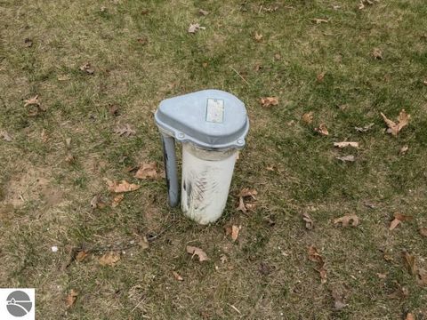 Tiny photo for 7291 Blue Ox Trail, South Branch, MI 48761 (MLS # 1944229)