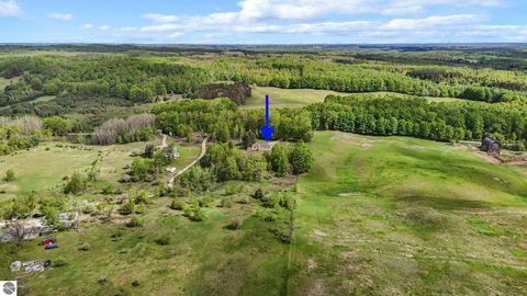 Tiny photo for 11519 21 Mile Road, Tustin, MI 49688 (MLS # 1945505)