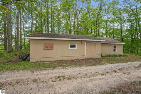 Tiny photo for 11519 21 Mile Road, Tustin, MI 49688 (MLS # 1945505)