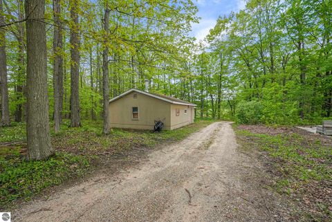 Tiny photo for 11519 21 Mile Road, Tustin, MI 49688 (MLS # 1945505)