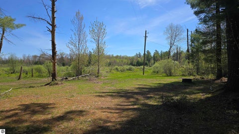 Tiny photo for 000 Lund Road, Sw, Fife Lake, MI 49633 (MLS # 1945674)