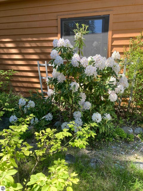 Tiny photo for 11641 Loon Lane, Traverse City, MI 49685 (MLS # 1941946)