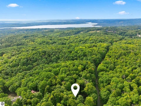 Tiny photo for 3917 Deskin Drive, Bellaire, MI 49615 (MLS # 1950290)