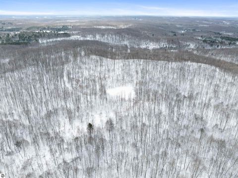 Tiny photo for 2370 Alden Highway, Mancelona, MI 49659 (MLS # 1941720)