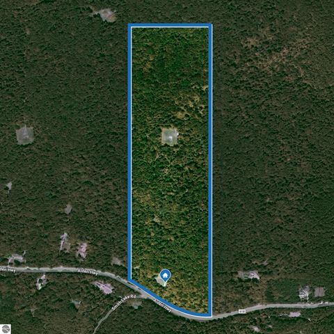 Tiny photo for 2370 Alden Highway, Mancelona, MI 49659 (MLS # 1941720)