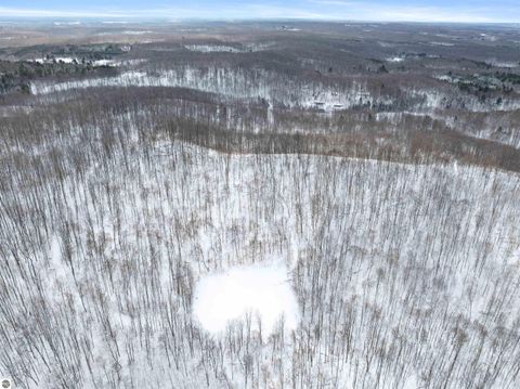 Tiny photo for 2370 Alden Highway, Mancelona, MI 49659 (MLS # 1941720)