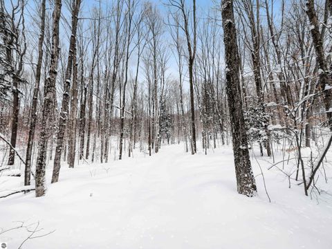 Tiny photo for 2370 Alden Highway, Mancelona, MI 49659 (MLS # 1941720)