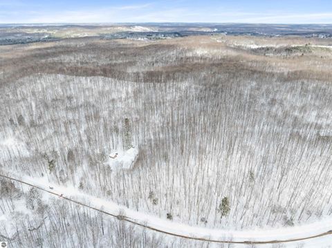 Tiny photo for 2370 Alden Highway, Mancelona, MI 49659 (MLS # 1941720)