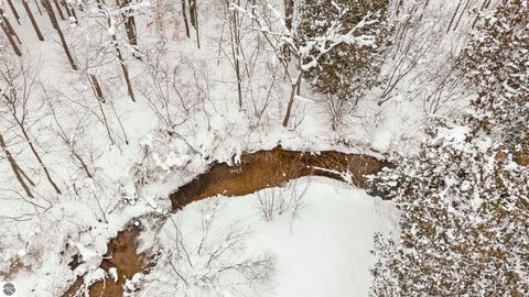 Tiny photo for 6760 S Thompsonville Road, Thompsonville, MI 49683 (MLS # 1941915)