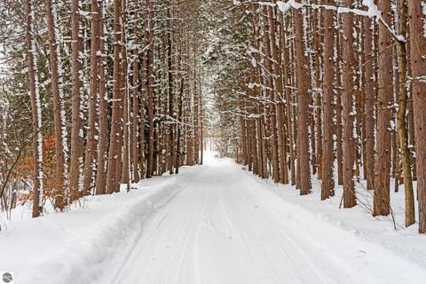 Tiny photo for 6760 S Thompsonville Road, Thompsonville, MI 49683 (MLS # 1941915)