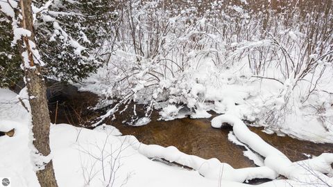 Tiny photo for 6760 S Thompsonville Road, Thompsonville, MI 49683 (MLS # 1941915)