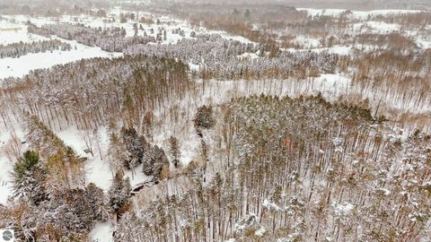 Tiny photo for 6760 S Thompsonville Road, Thompsonville, MI 49683 (MLS # 1941915)