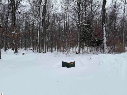 Tiny photo for 3852 S East Torch Lake Drive, Bellaire, MI 49615 (MLS # 1941940)